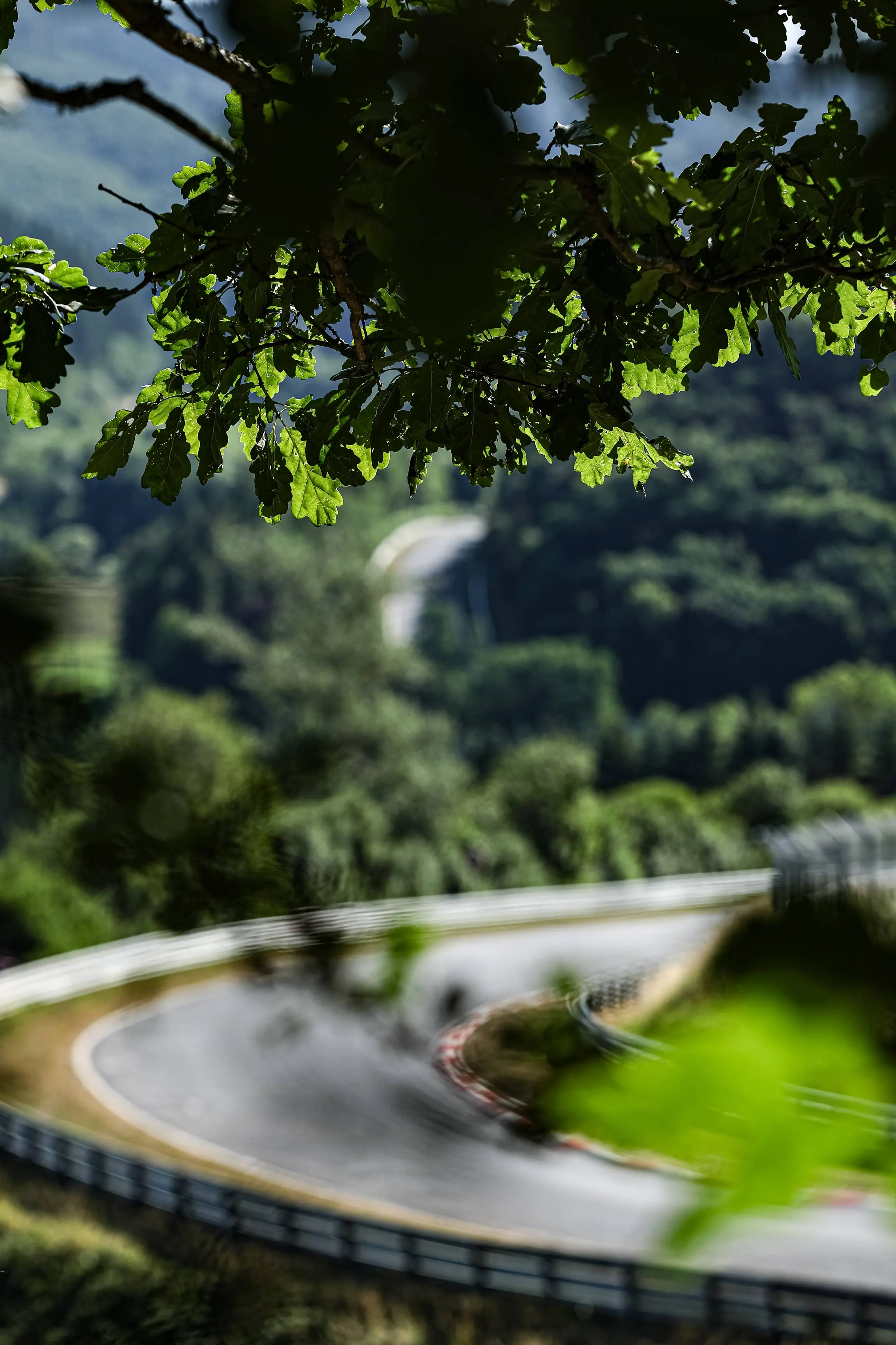 Einzelbild ohne Beschreibung in einer Bildergalerie